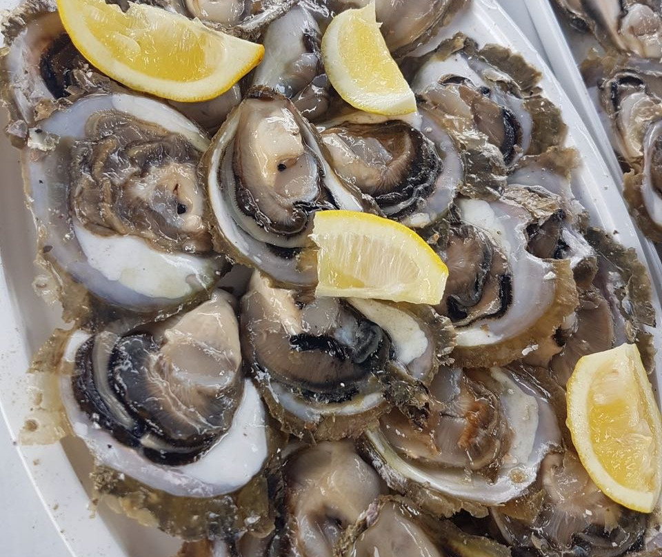 Fish Picnic - Lim Fjord-罗维尼必去景点