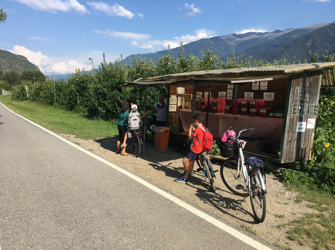 Pista Ciclabile della Val Venosta景点图片