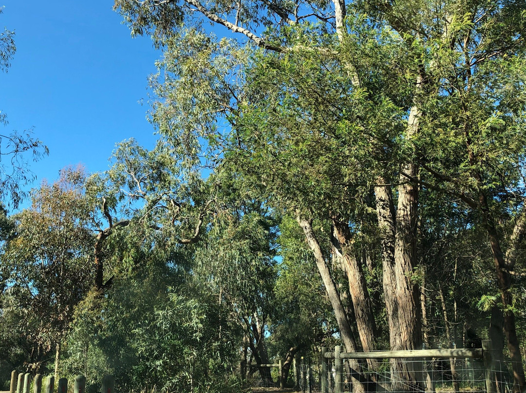 Heathmont旅游攻略图片