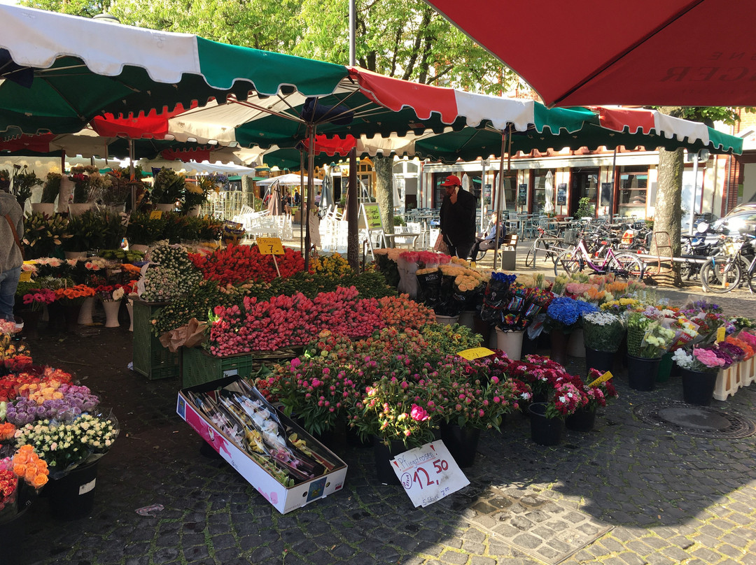 Wochenmarkt Offenbach景点图片