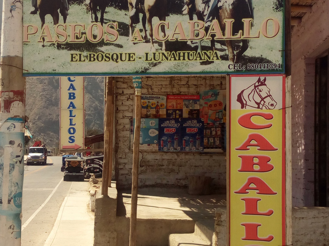 Paseos a Caballo El Bosque-Lunahuana必去景点