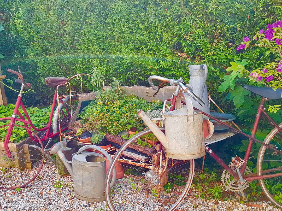 Domaine des Deux Cedres主图