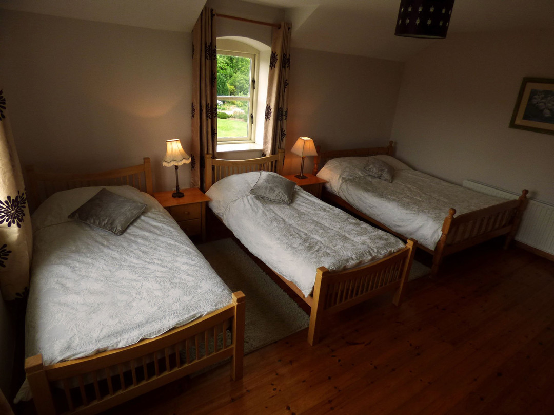 Ash House Bed and Breakfast主图