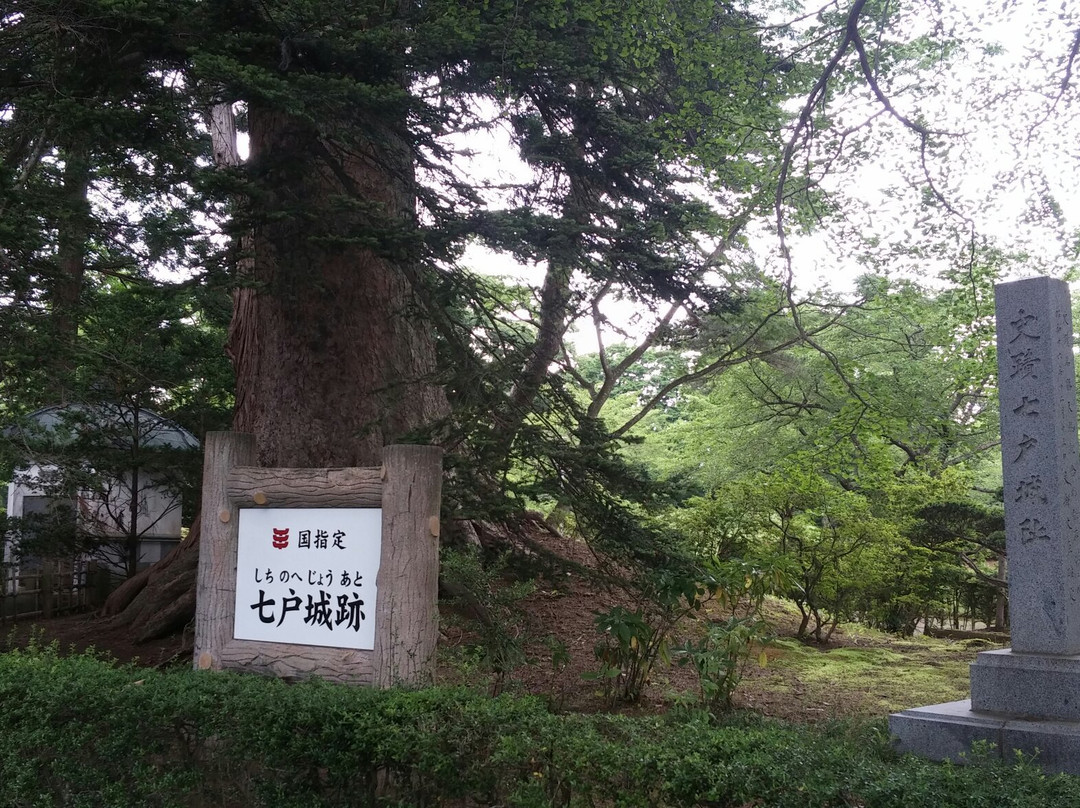 History Remains Hichinohe Castle Remains景点图片