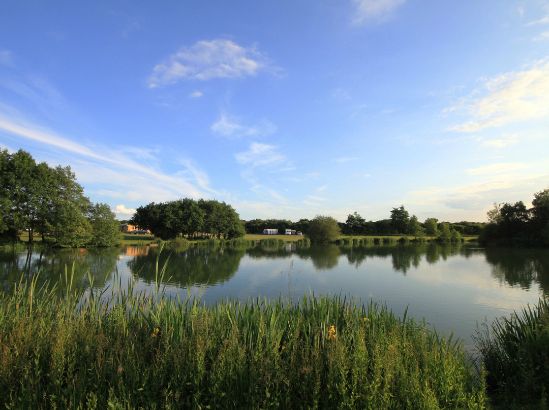 Brook Meadow
