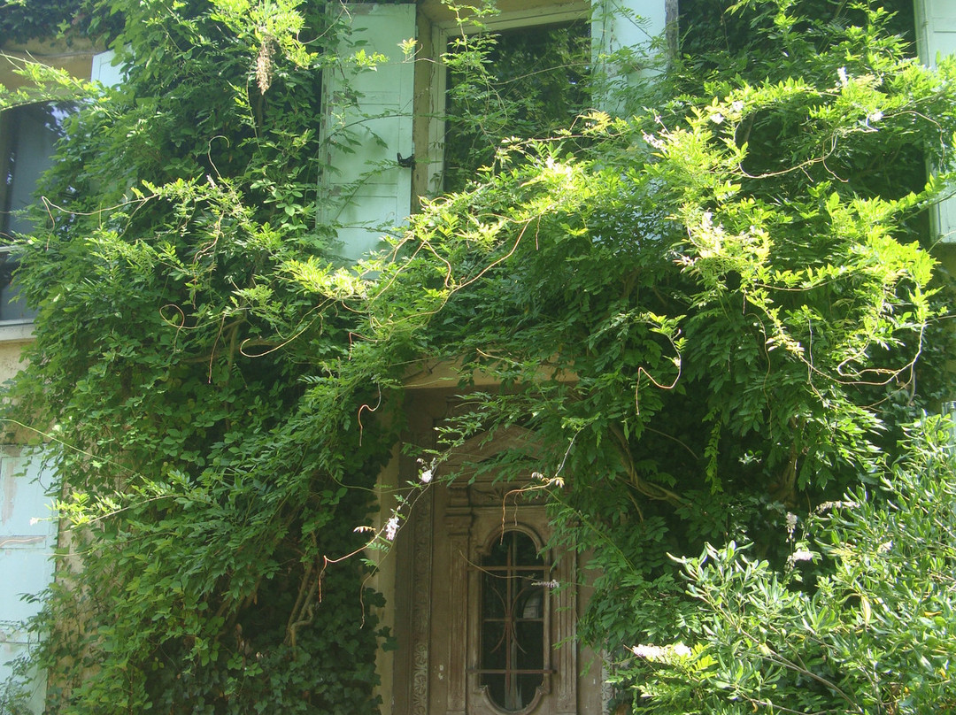 L'ile Verte景点图片