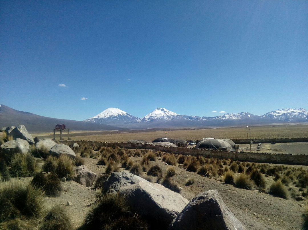 Nevado Sajama景点图片