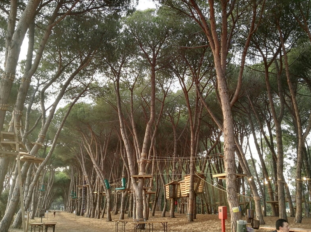Parco Avventura Fregene-Fregene必去景点