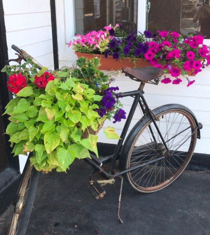 Nav's popcorn shop-亚历山德里亚贝必去景点