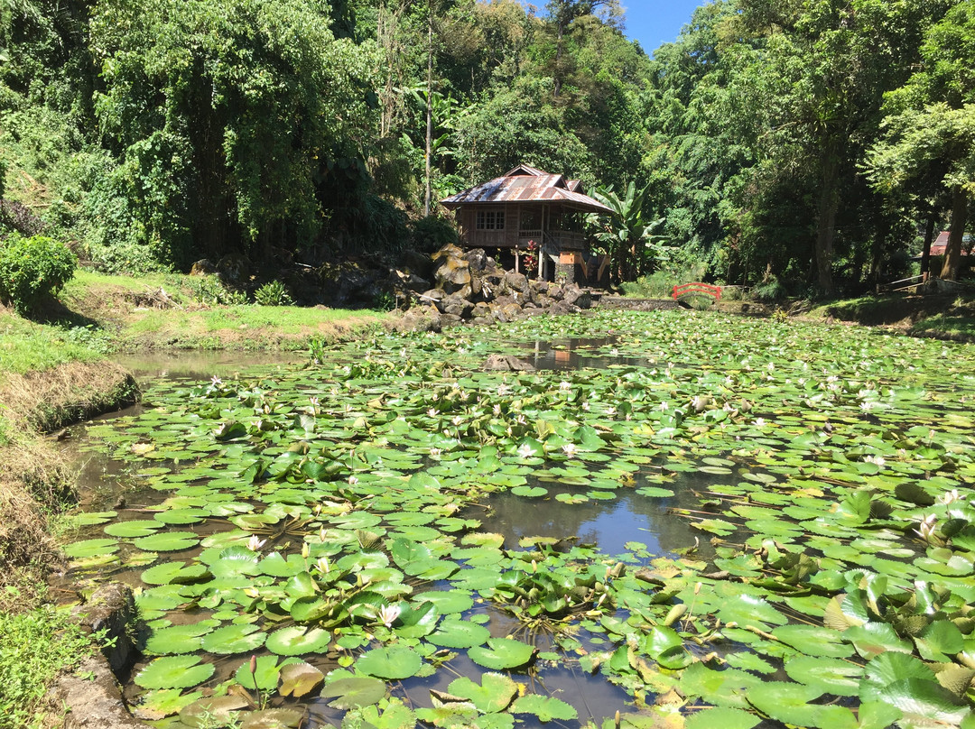 Toar Lumimuut Park-万鸦老必去景点