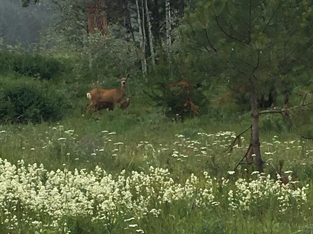 Harmon Lake-梅里特必去景点