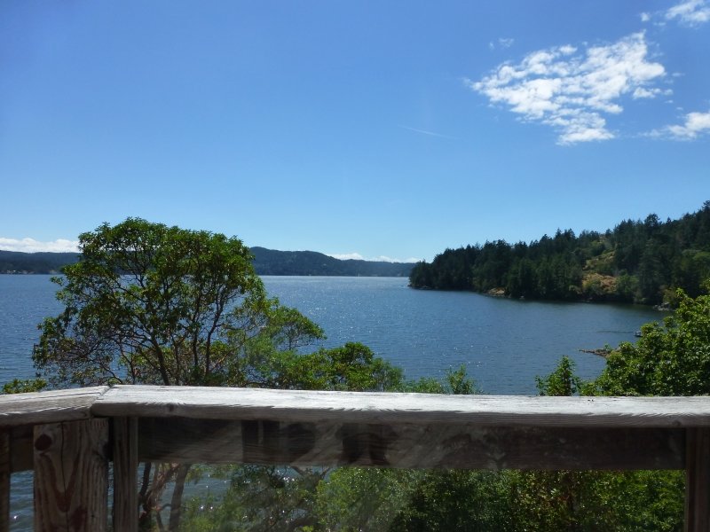 Arbutus Cove Guesthouse-浴室