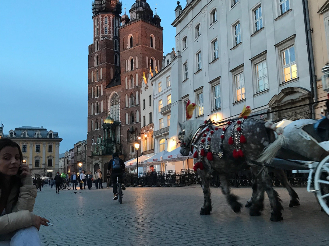 Krakow Tours by KrakowDirect景点图片