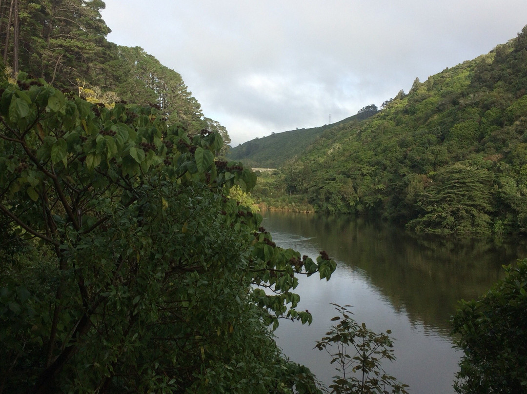 西兰蒂亚自然保护区景点图片