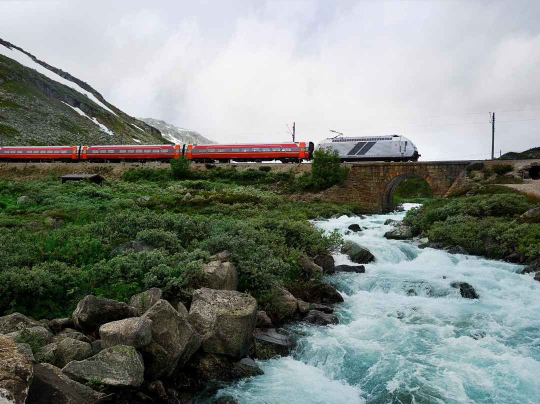 The Bergen Railway-奥斯陆必去景点