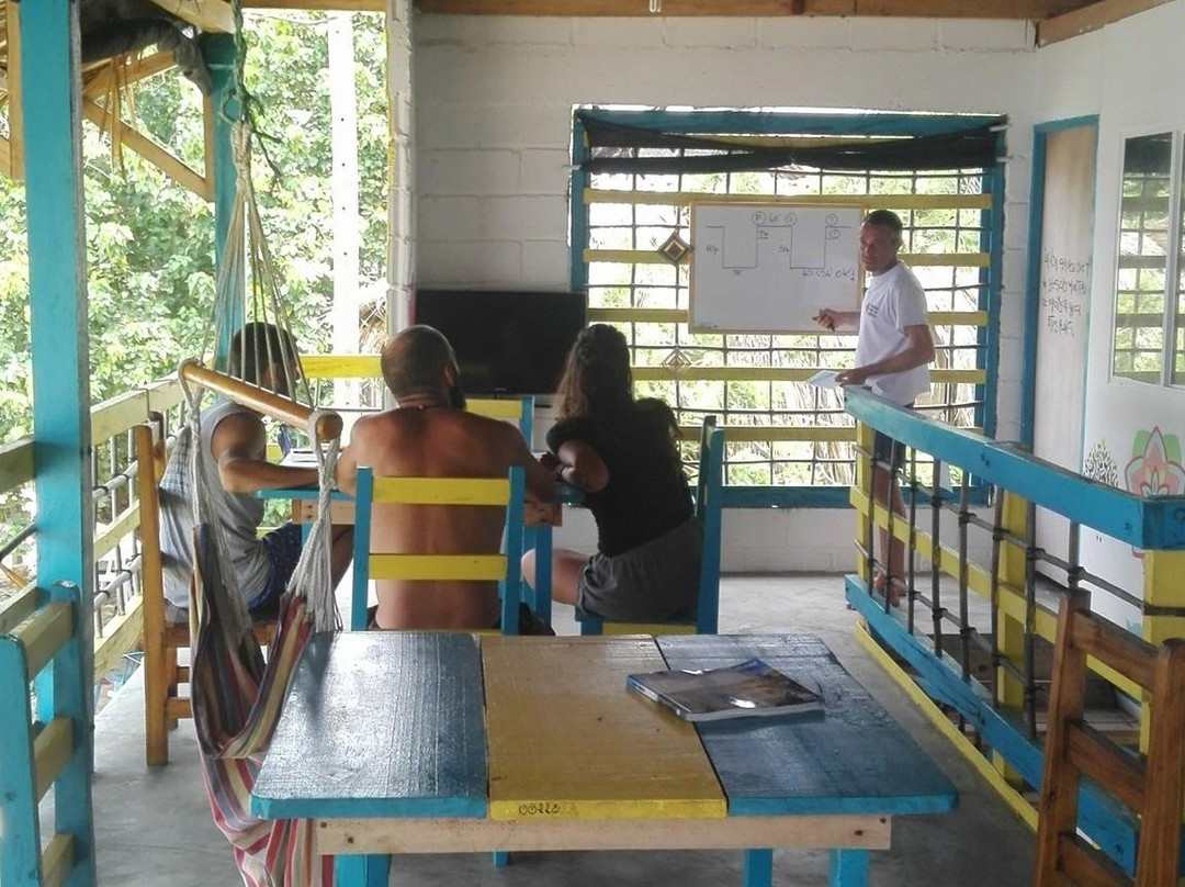 Rincón Dive Center-Rincon del Mar必去景点