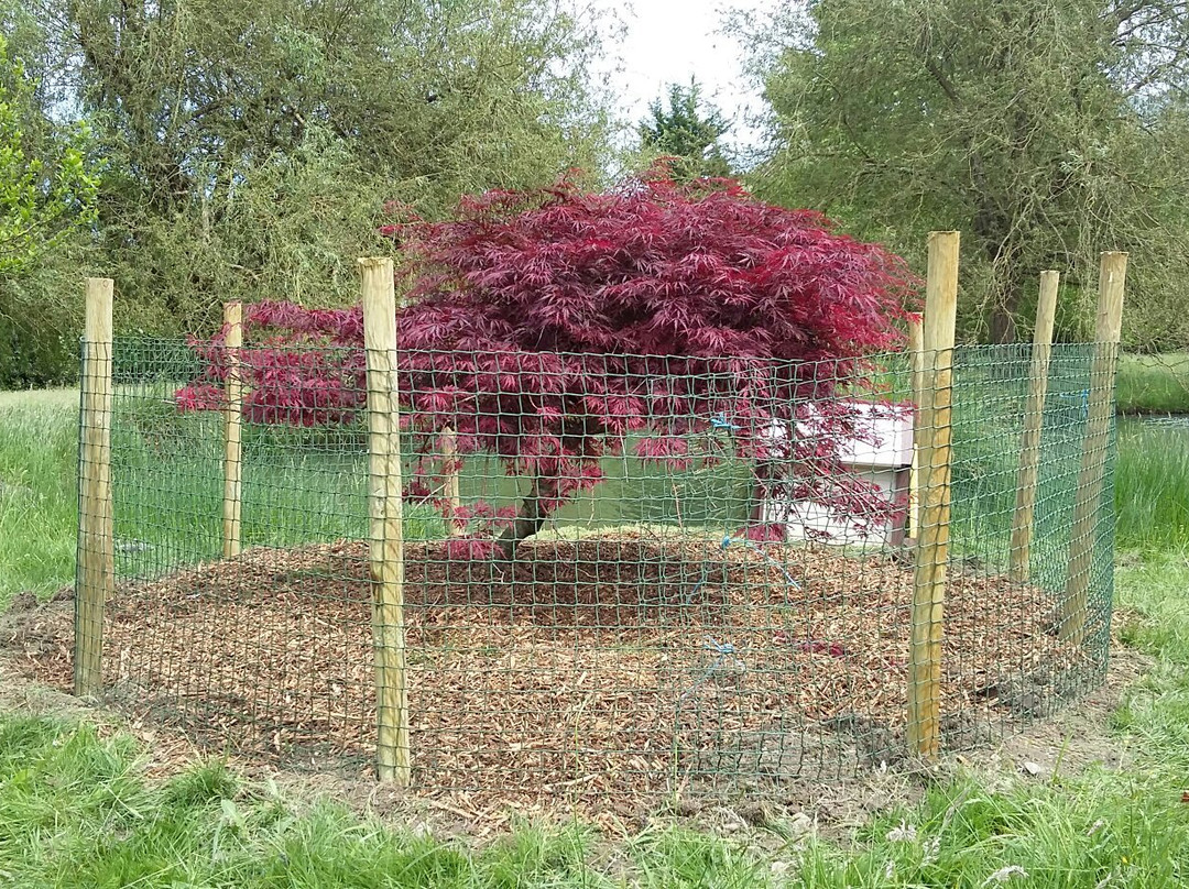 赛伦希尼亚庄园酒店主图