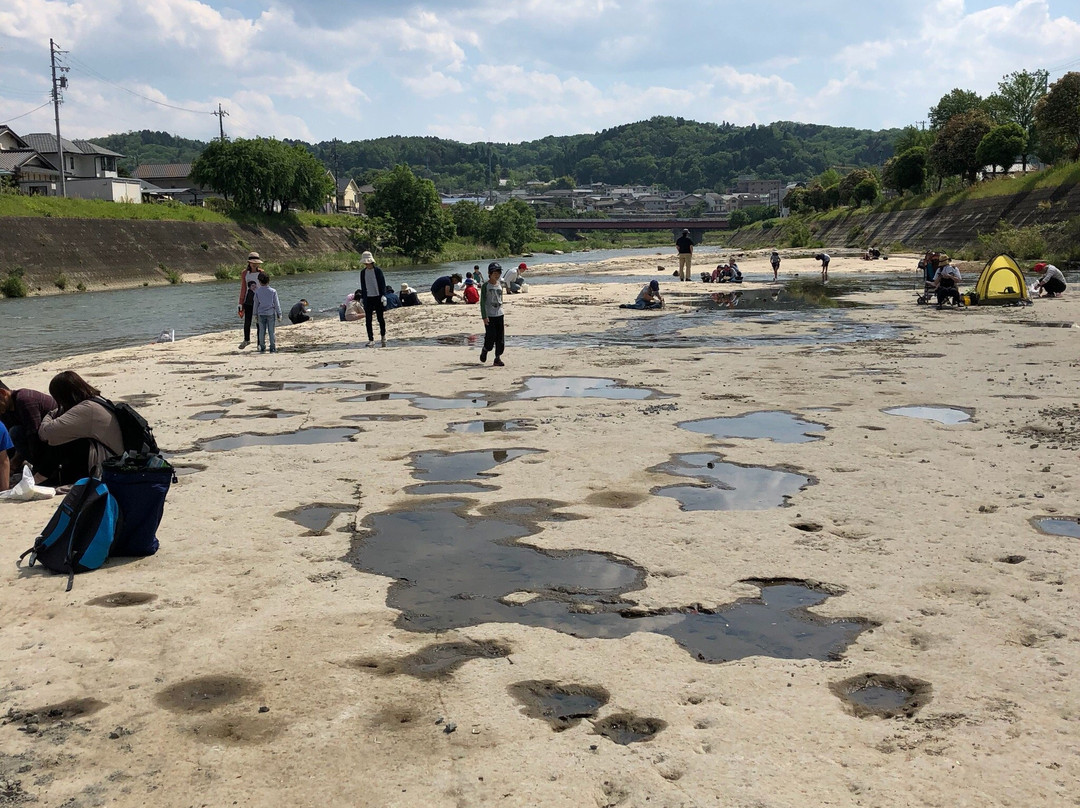 Mizunami Kaseki Yagai Gakusyuchi-瑞浪市必去景点