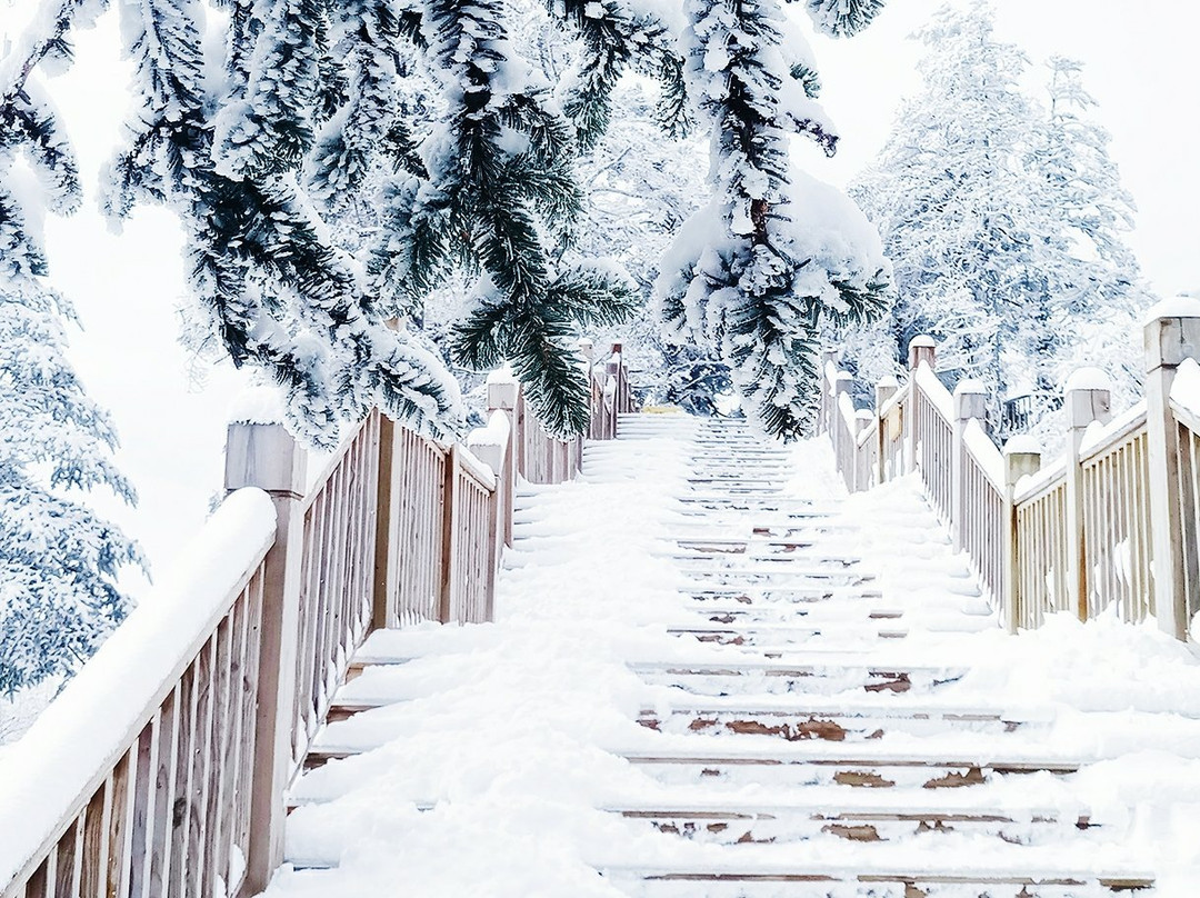 西岭雪山滑雪场景点图片