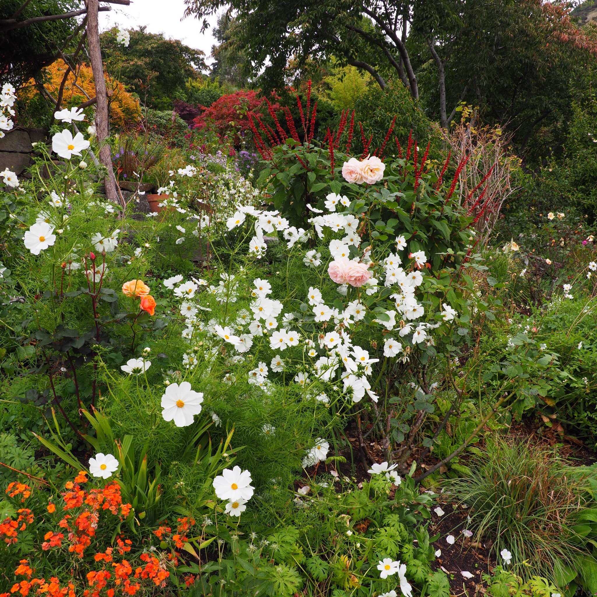 赫尔维卡花园酒店-酒店景观