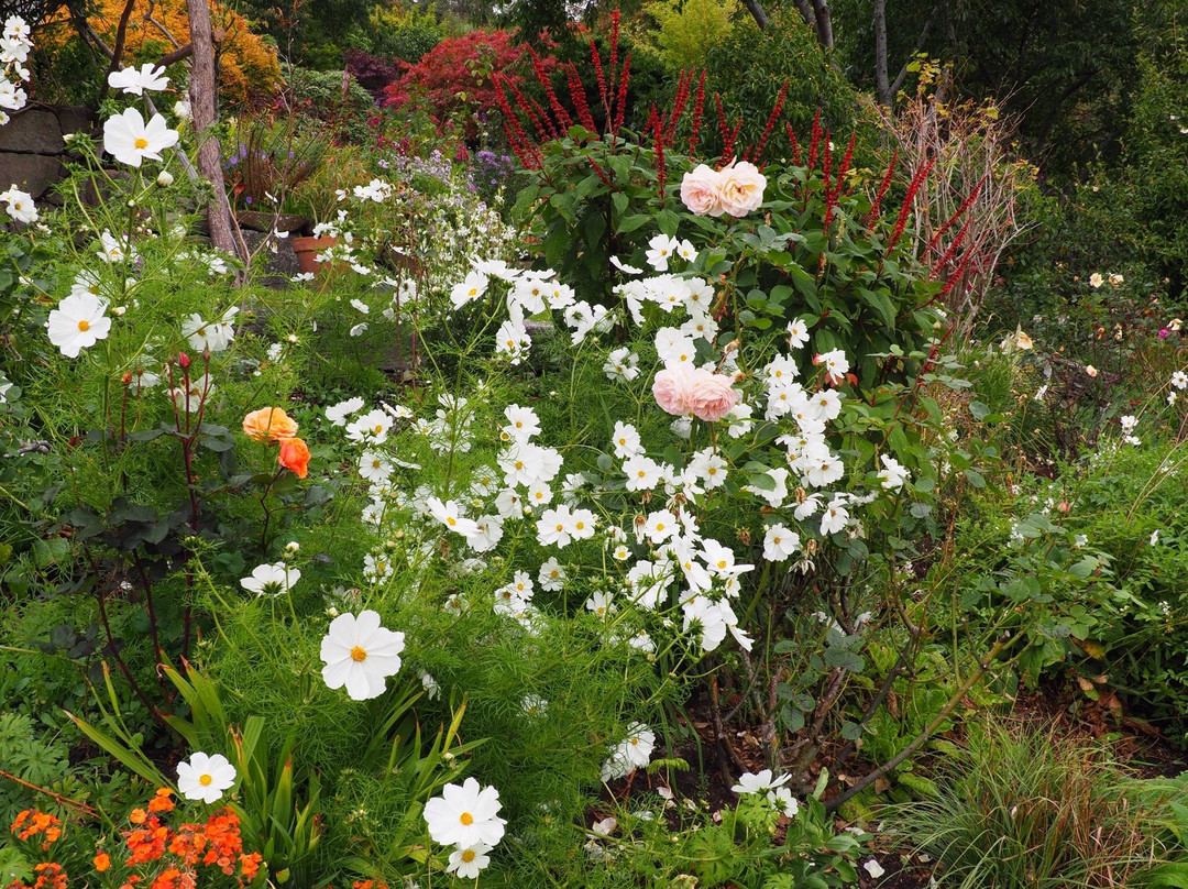 赫尔维卡花园酒店主图