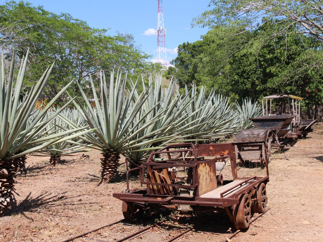 Hacienda Ochil景点图片