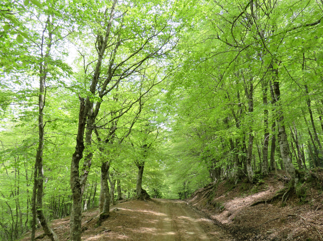 Parco dei Nebrodi