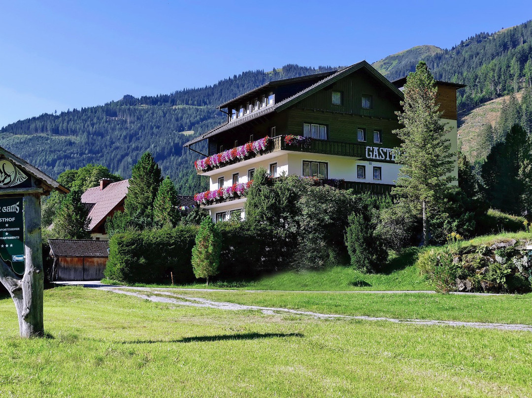 Planneralm酒店住宿-Gasthof Pension Appartements Zur Gams