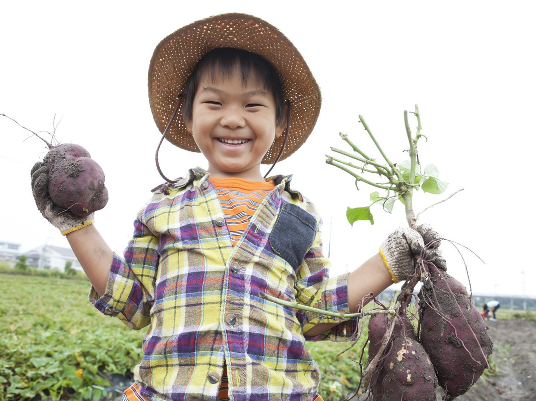 Terrace Resort asago主图