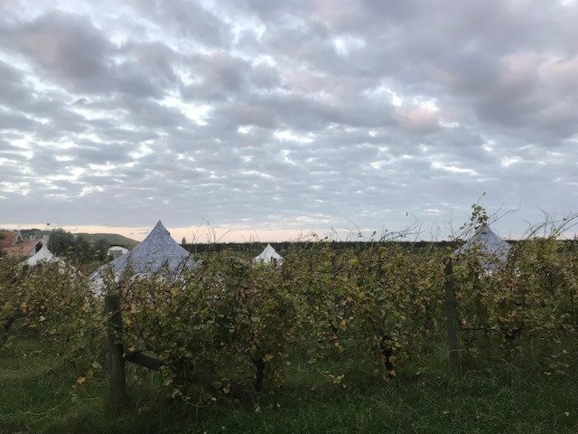 Meadowood Country House主图