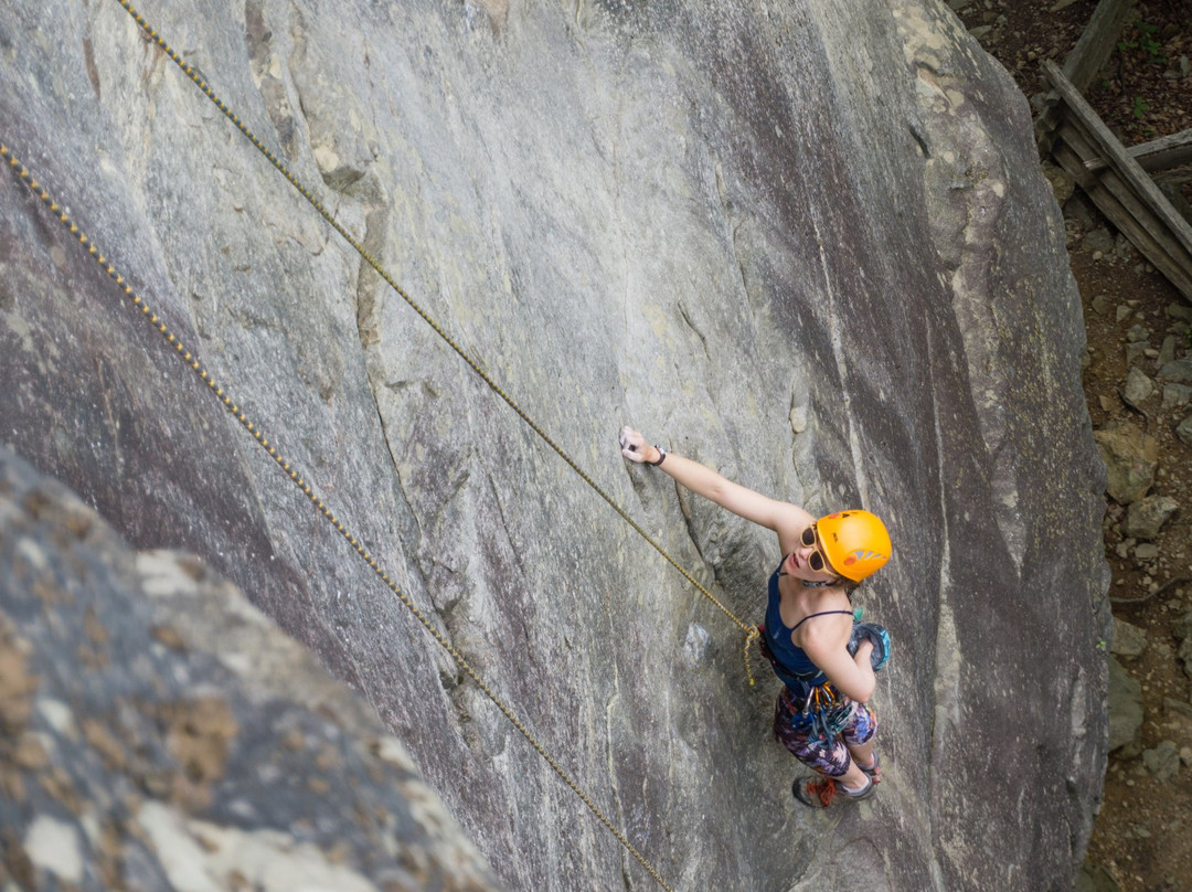 Blue Ridge Mountain Guides-Lansing必去景点