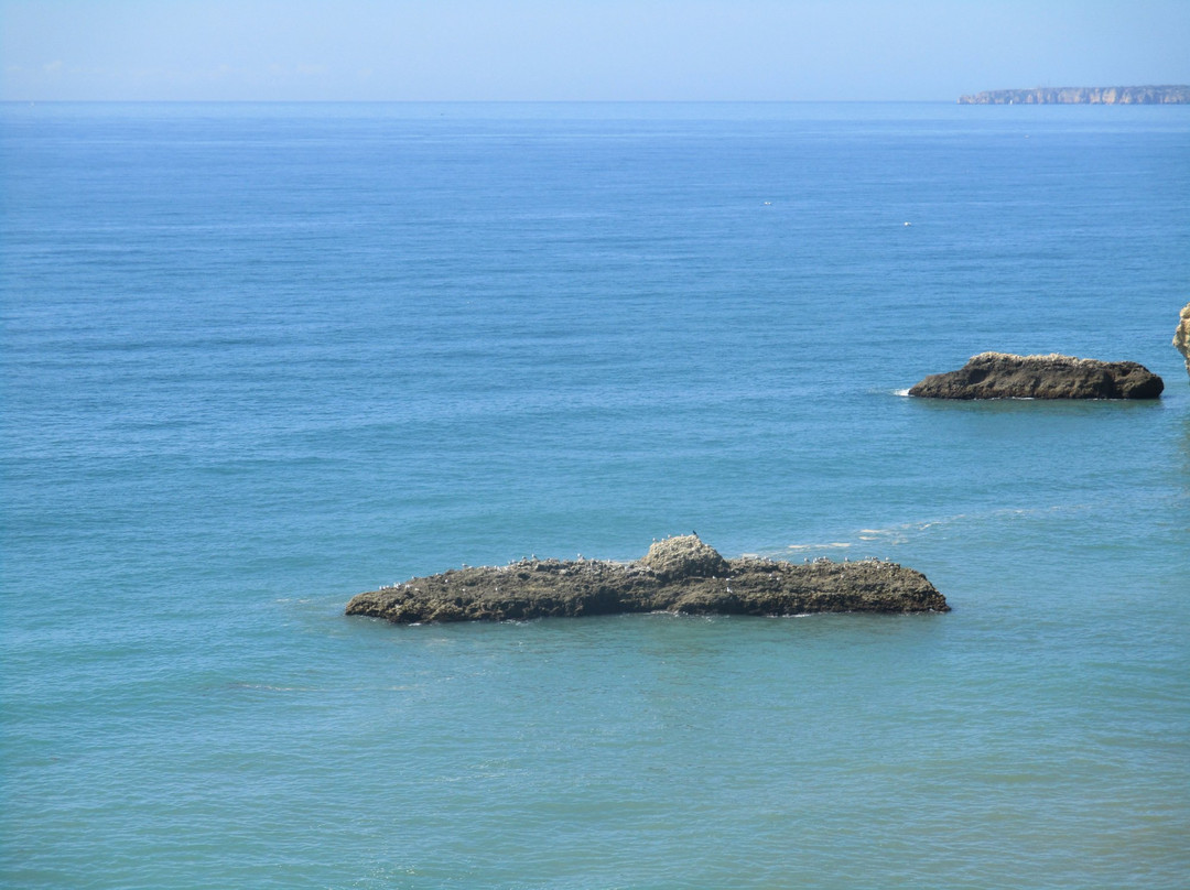 Praia Do Submarino景点图片