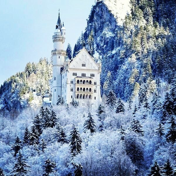 巴伐利亚新天鹅堡观光车之旅-慕尼黑必去景点