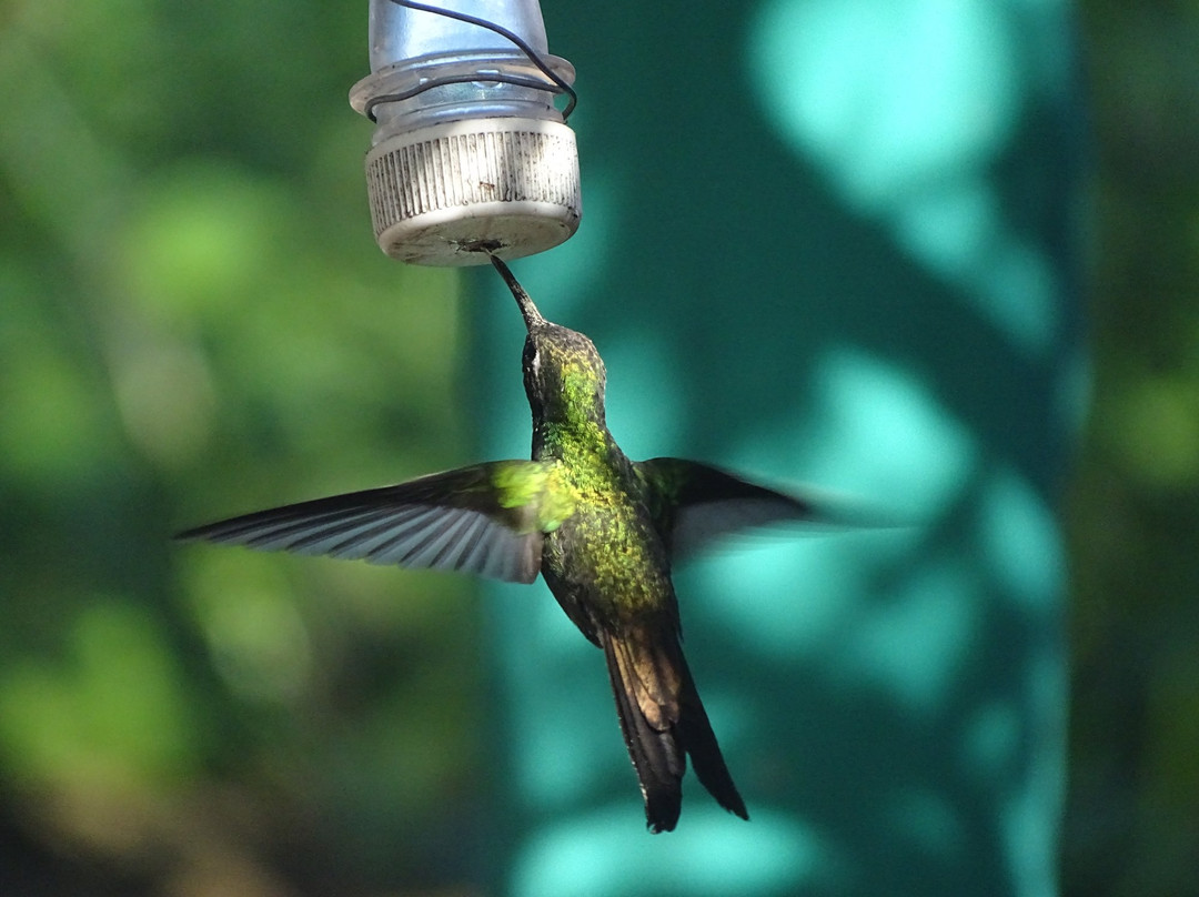 Casa Villa Mar y Esperanza主图