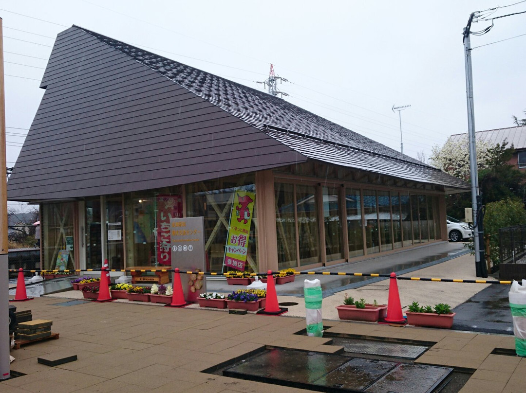 Naruto Ekimae Tourist Information Center景点图片
