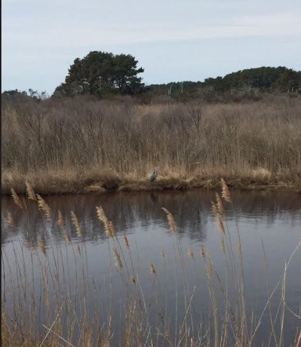 The River Gem BnB主图