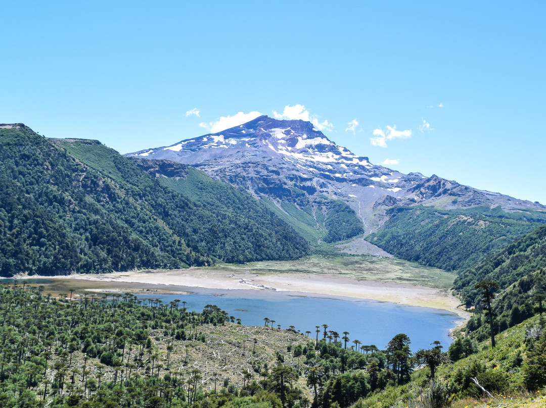 Lonquimay旅游攻略图片