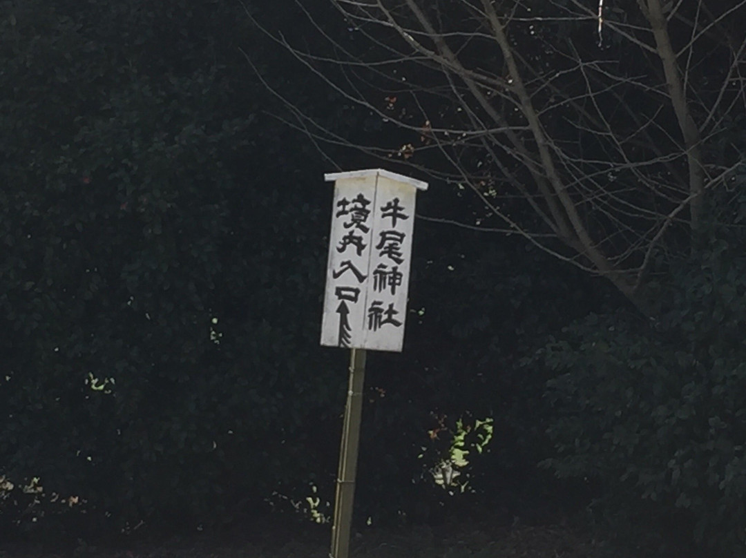 Ushinoo Shrine-小城市必去景点