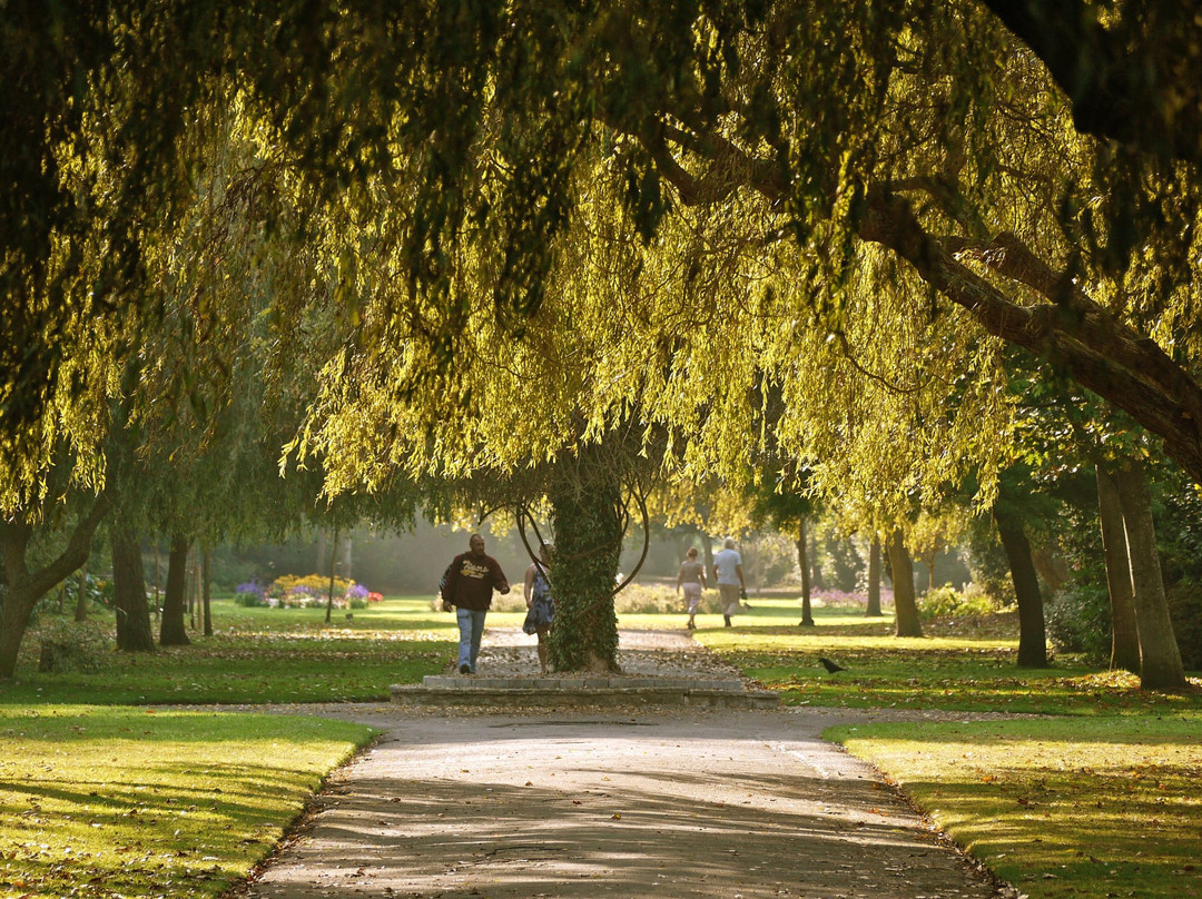 Radipole Park and Gardens景点图片