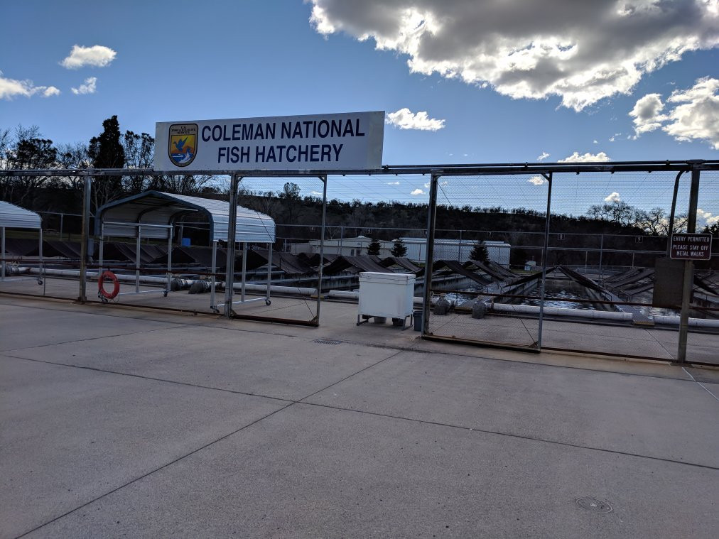 Coleman National Fish Hatchery景点图片