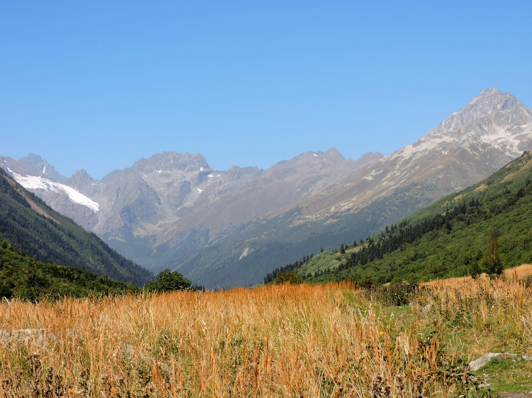 Teberdinsk State Biosphere Reserve景点图片