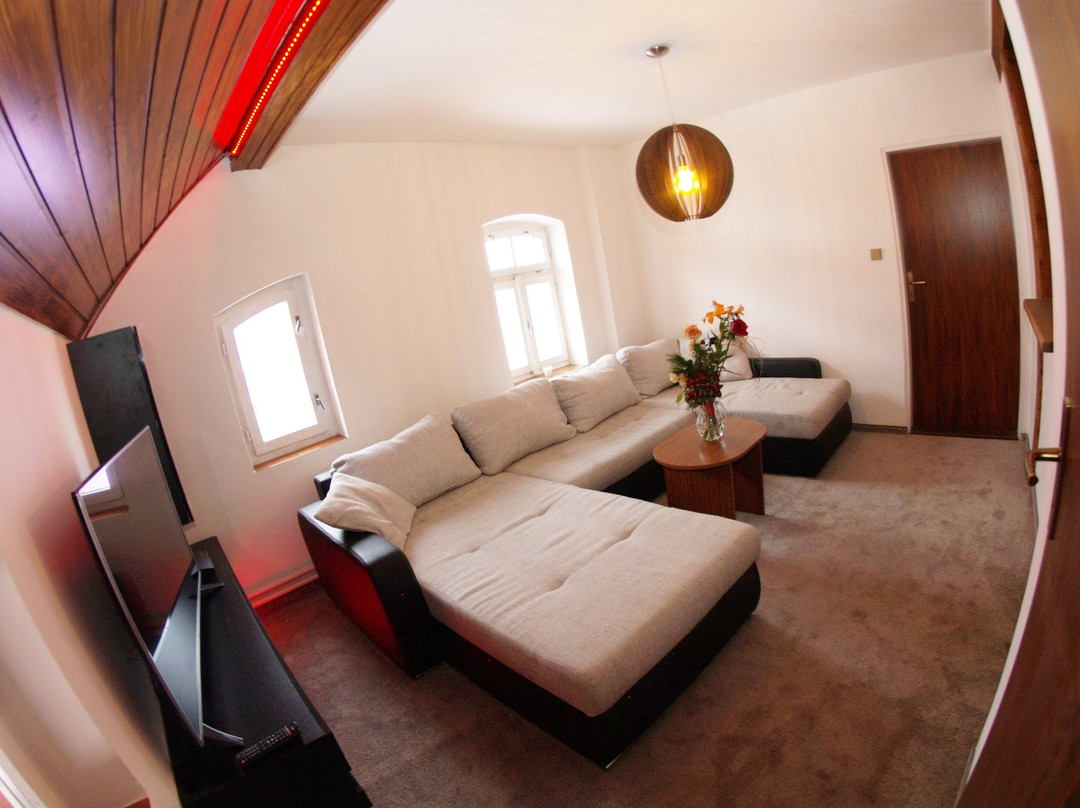 Kraslice酒店住宿-Penzion V Horach