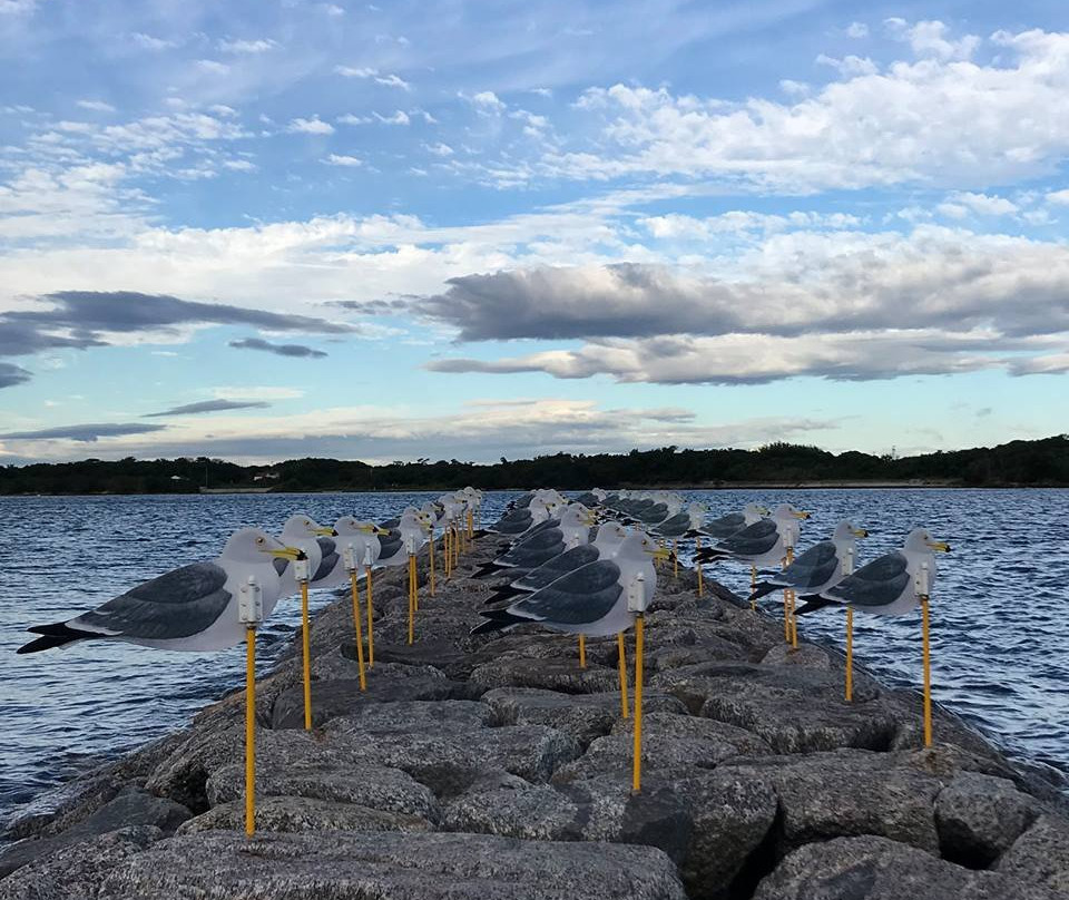 Kamome no Chushajo-西尾市必去景点