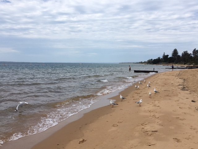 菲利普岛考拉哈舒适度假酒店主图