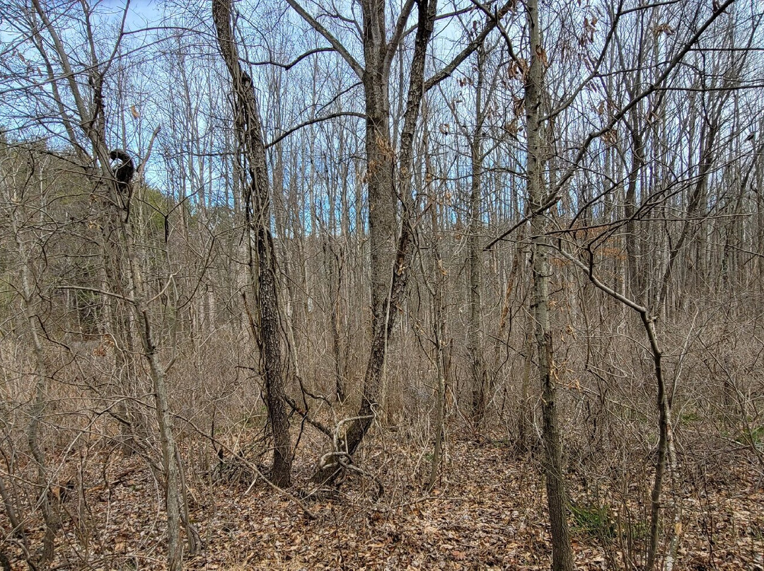 Patuxent River State Park-盖瑟斯堡必去景点