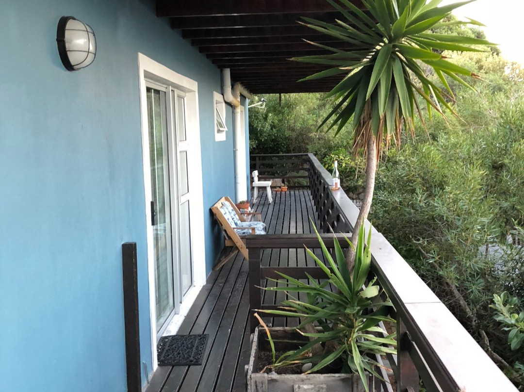 Bluebottle Guesthouse主图