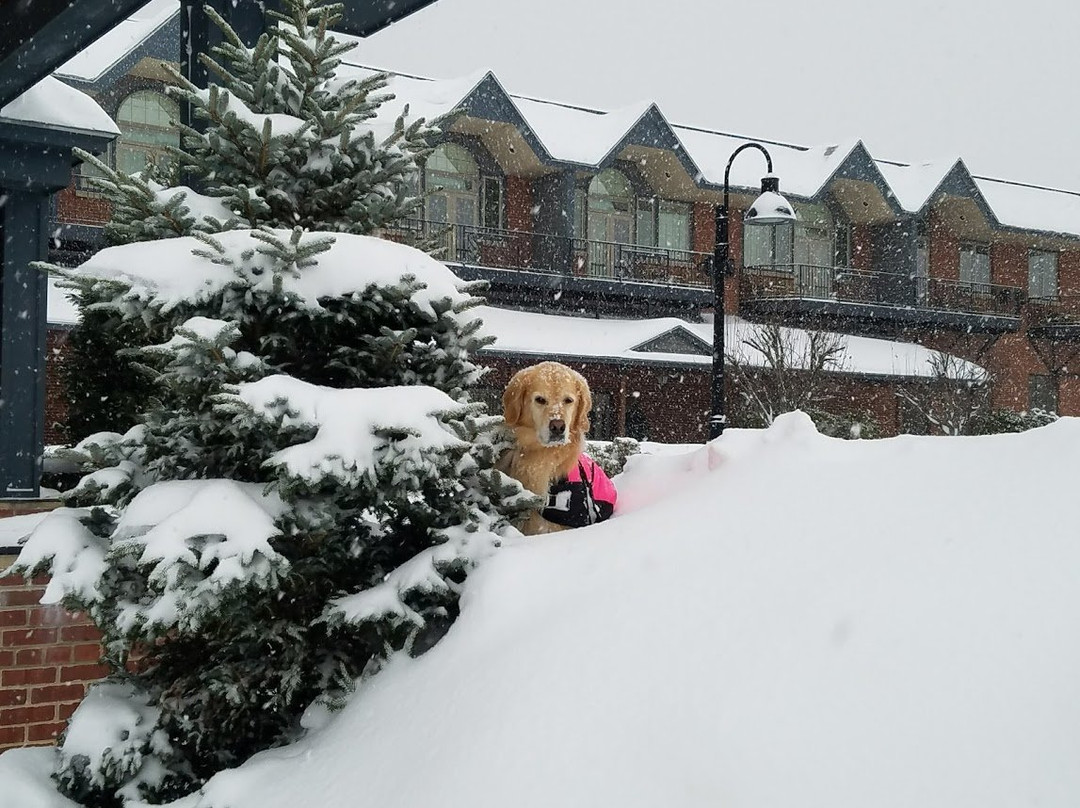 Lake Opechee Inn and Spa主图