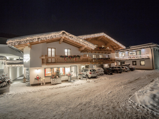 Aparthotel Steger主图