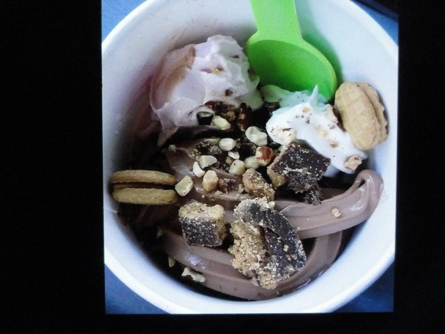 Yogurtland