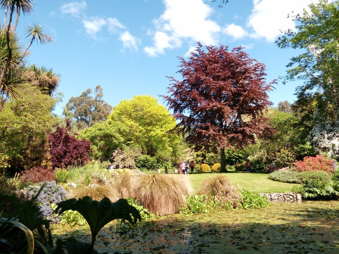 Flaxmere Garden景点图片